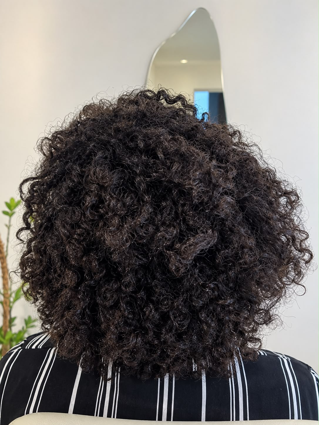 Cabelo desembaraçado — preparação para o Permanente Afro
